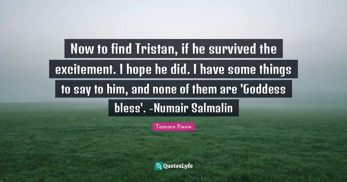 Now to find Tristan, if he survived the excitement. I hope he did. I have some things to say to him, and none of them are 'Goddess bless'. -Numair Salmalin