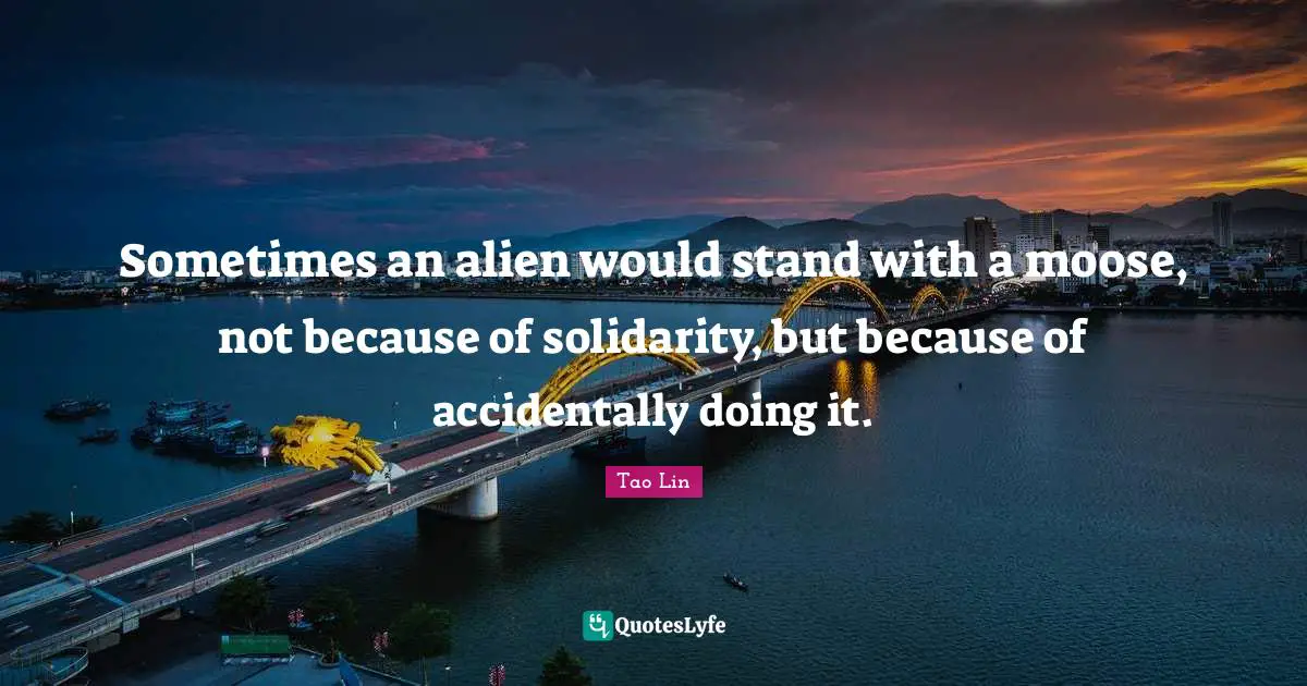 Sometimes an alien would stand with a moose, not because of solidarity, but because of accidentally doing it.