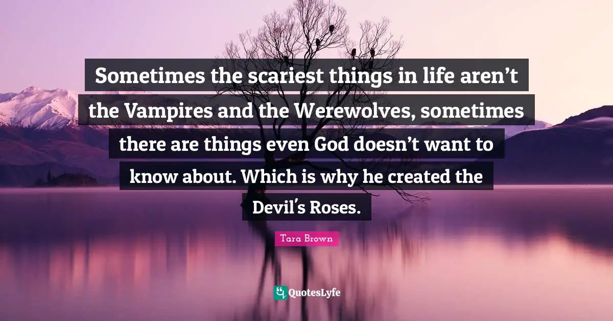 Sometimes the scariest things in life aren’t the Vampires and the Werewolves, sometimes there are things even God doesn’t want to know about. Which is why he created the Devil's Roses.