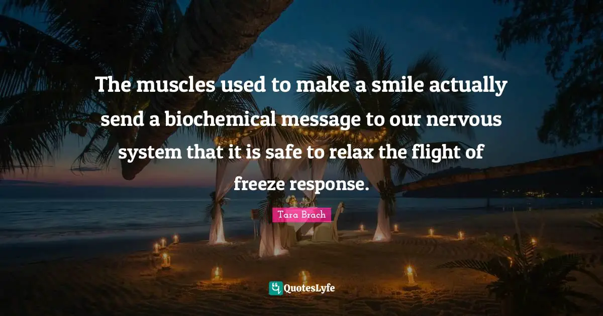 Tara Brach Quotes: "The muscles used to make a smile actually send a biochemical message to our nervous system that it is safe to relax the flight of freeze response."