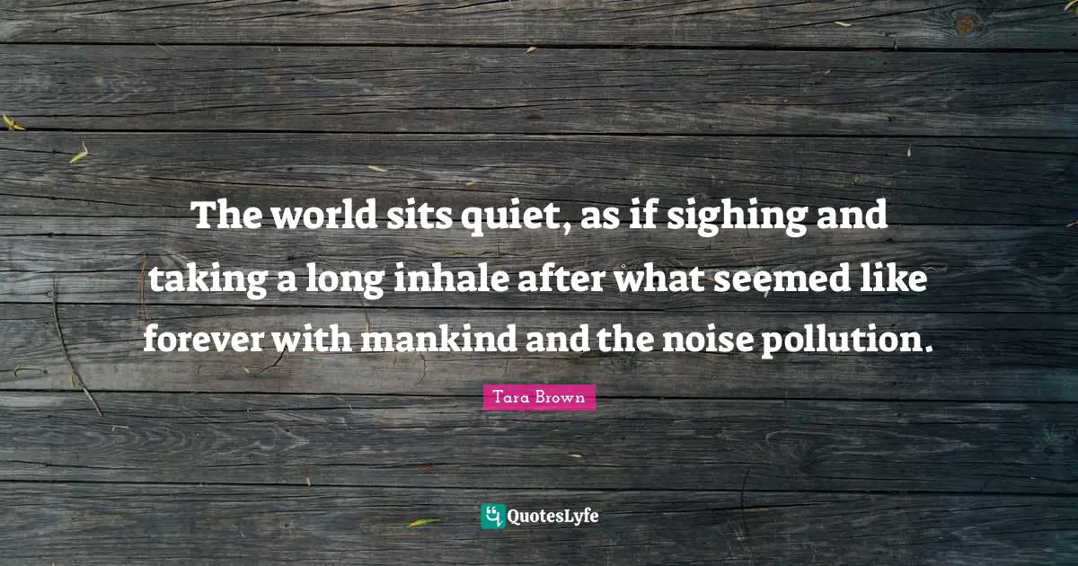 The world sits quiet, as if sighing and taking a long inhale after what seemed like forever with mankind and the noise pollution.