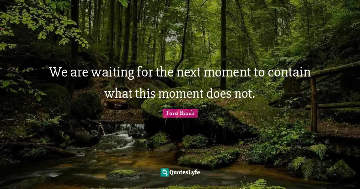 Tara Brach Quotes: "We are waiting for the next moment to contain what this moment does not."