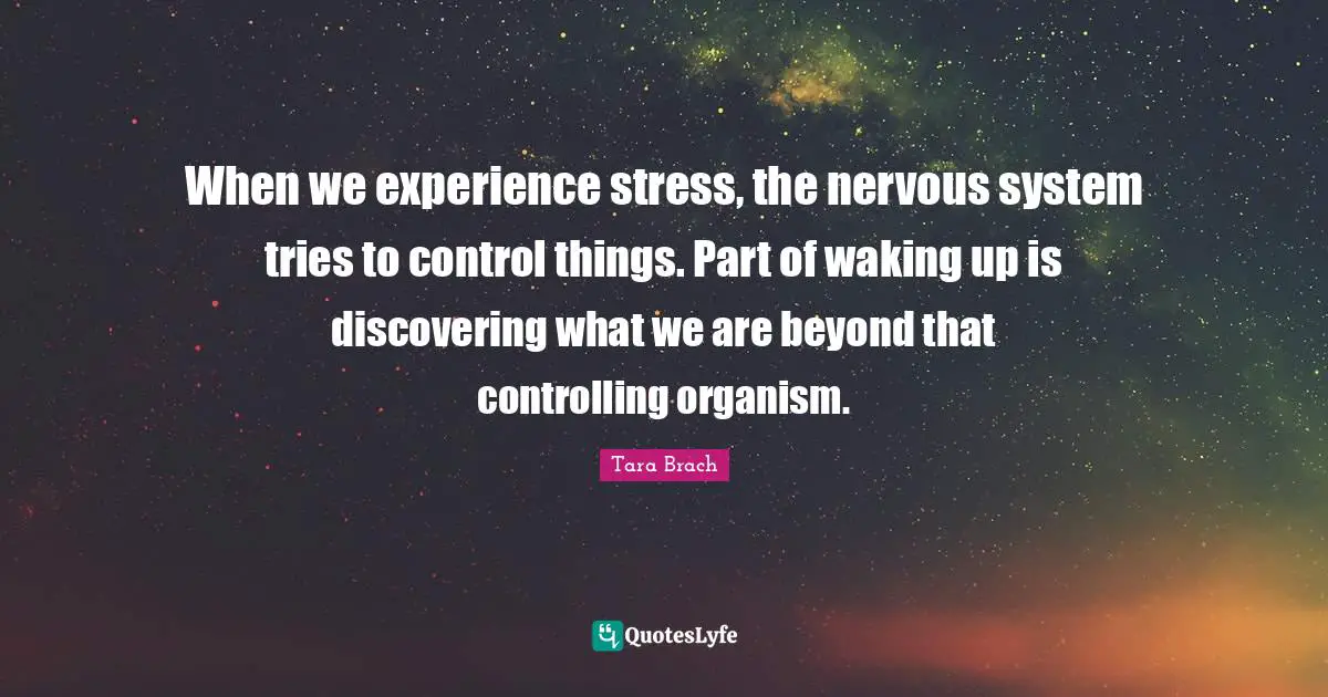 When we experience stress, the nervous system tries to control things. Part of waking up is discovering what we are beyond that controlling organism.