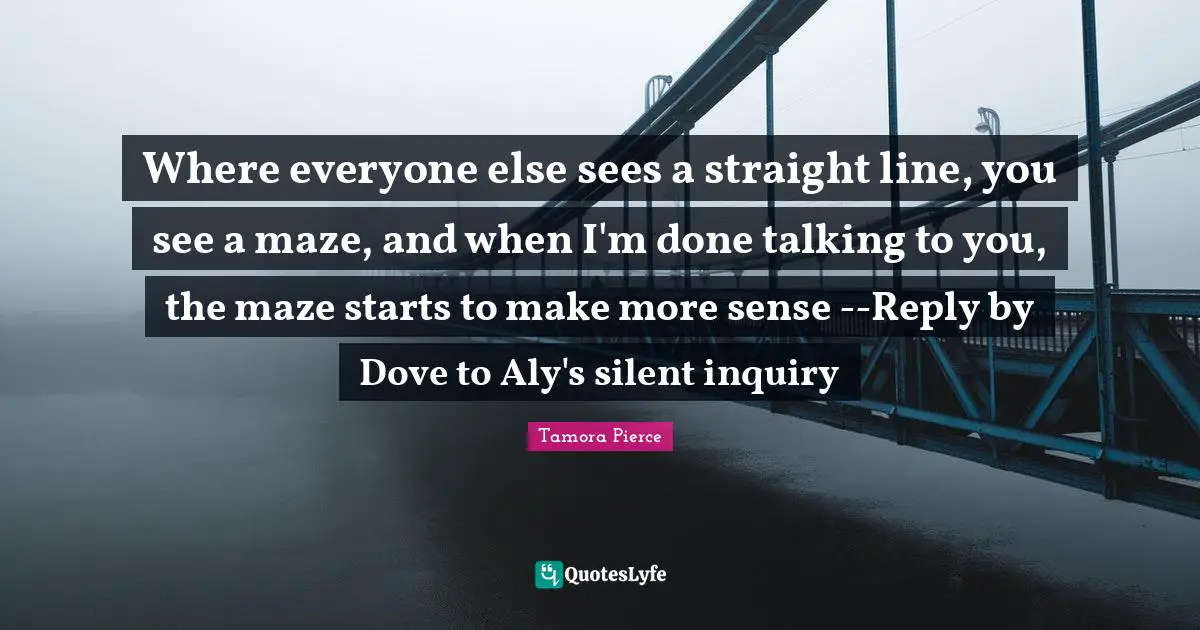 Where everyone else sees a straight line, you see a maze, and when I'm done talking to you, the maze starts to make more sense --Reply by Dove to Aly's silent inquiry