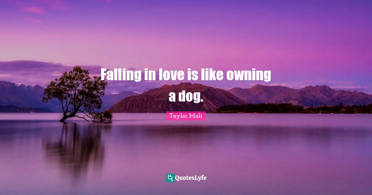 Falling in love is like owning a dog.... Quote by Taylor Mali - QuotesLyfe