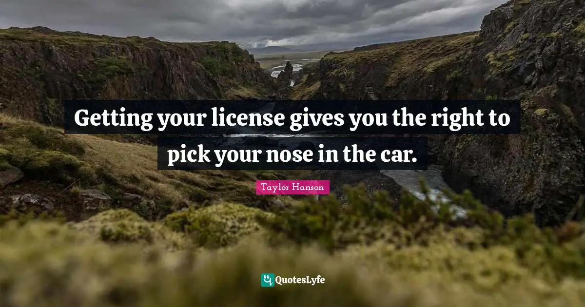 Getting your license gives you the right to pick your nose in the car.