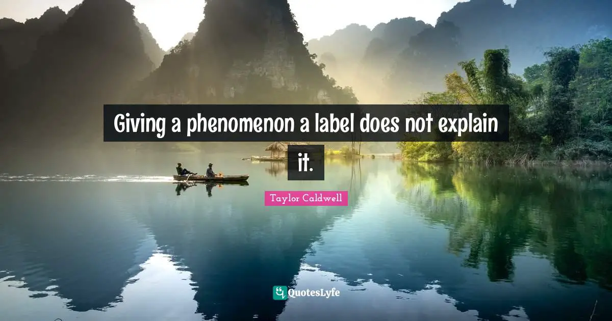 Giving a phenomenon a label does not explain it.