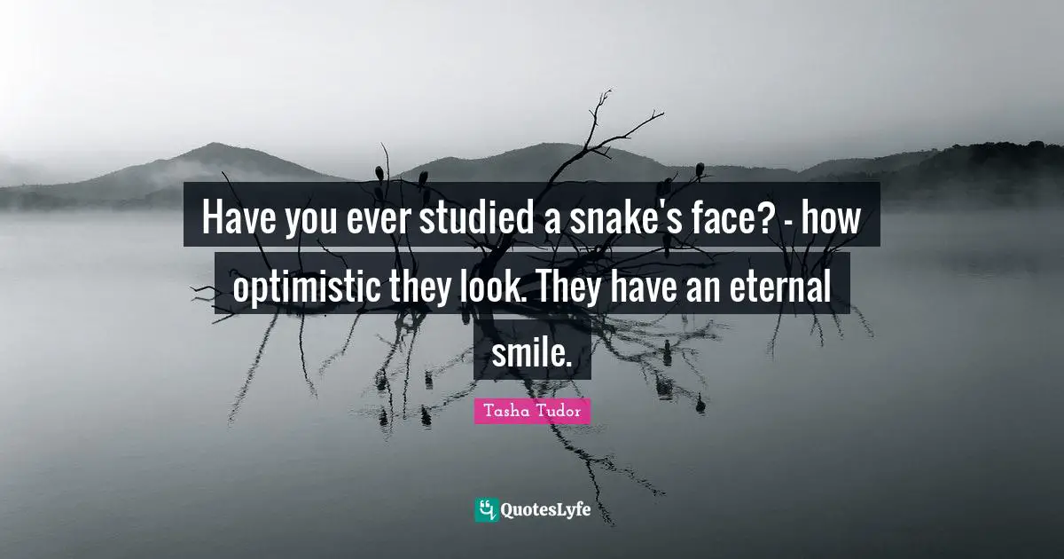 Snakes Quotes: "Have you ever studied a snake's face? - how optimistic they look. They have an eternal smile."