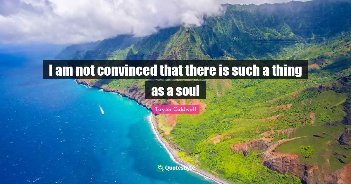 I am not convinced that there is such a thing as a soul