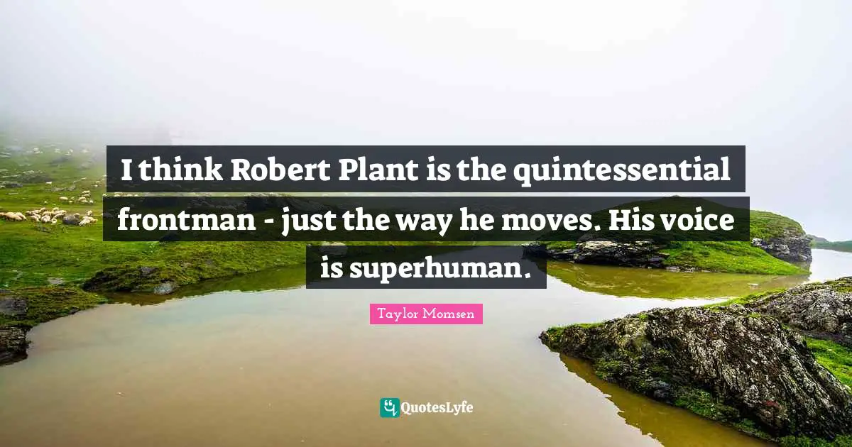 I think Robert Plant is the quintessential frontman - just the way he moves. His voice is superhuman.