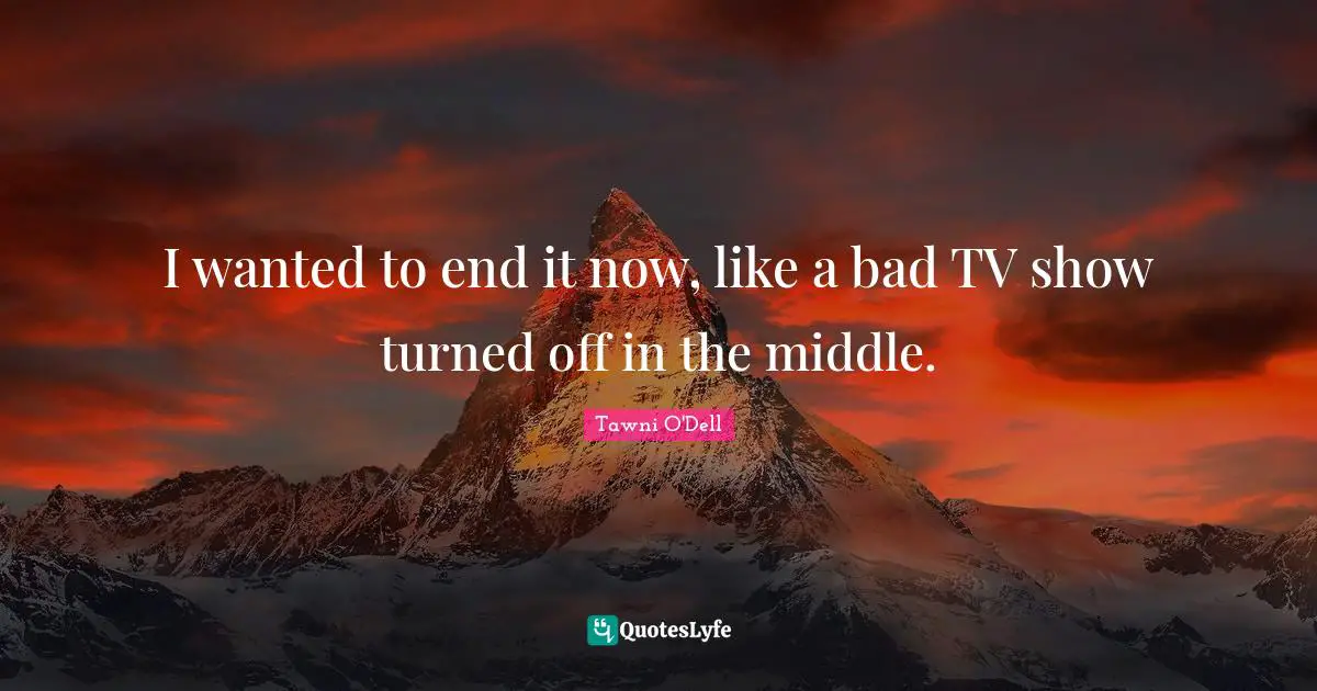 I wanted to end it now, like a bad TV show turned off in the middle.