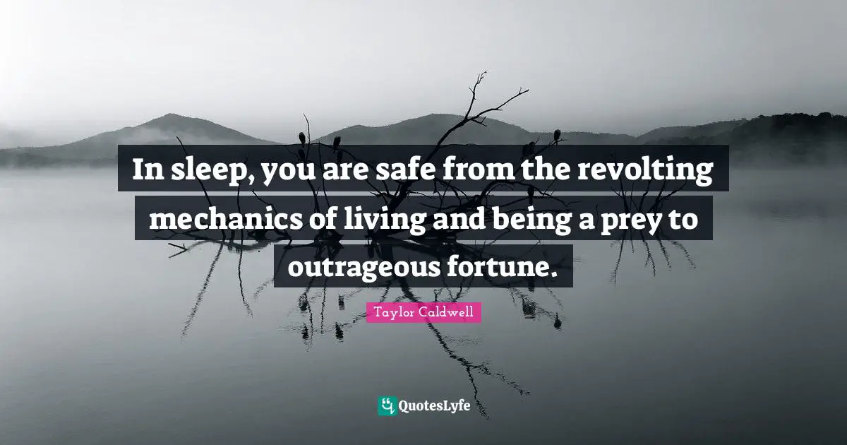In sleep, you are safe from the revolting mechanics of living and being a prey to outrageous fortune.