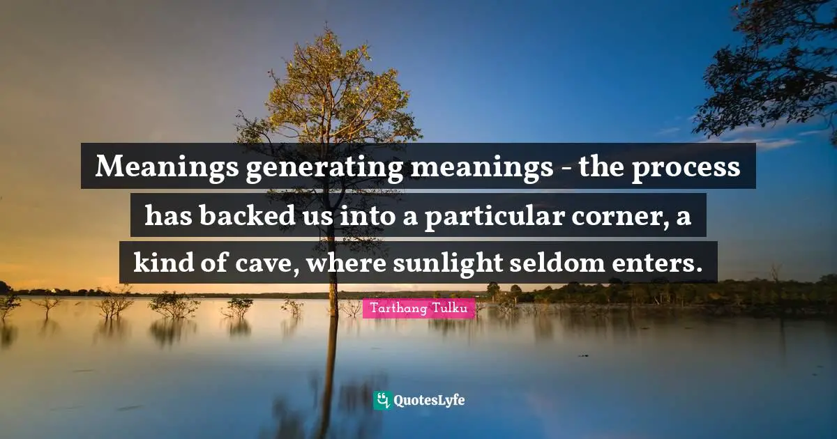 Sunlight Quotes: "Meanings generating meanings - the process has backed us into a particular corner, a kind of cave, where sunlight seldom enters."