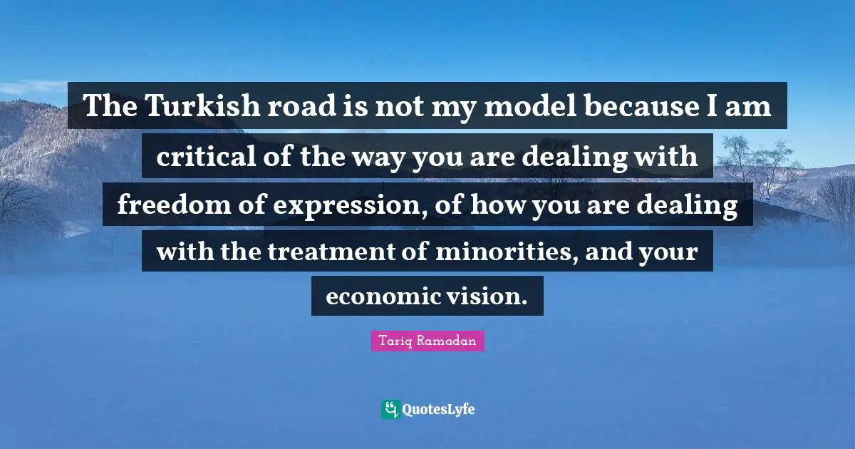 The Turkish road is not my model because I am critical of the way you are dealing with freedom of expression, of how you are dealing with the treatment of minorities, and your economic vision.