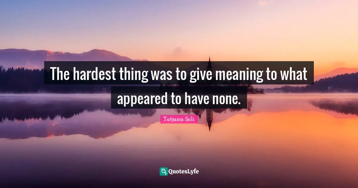 The hardest thing was to give meaning to what appeared to have none.