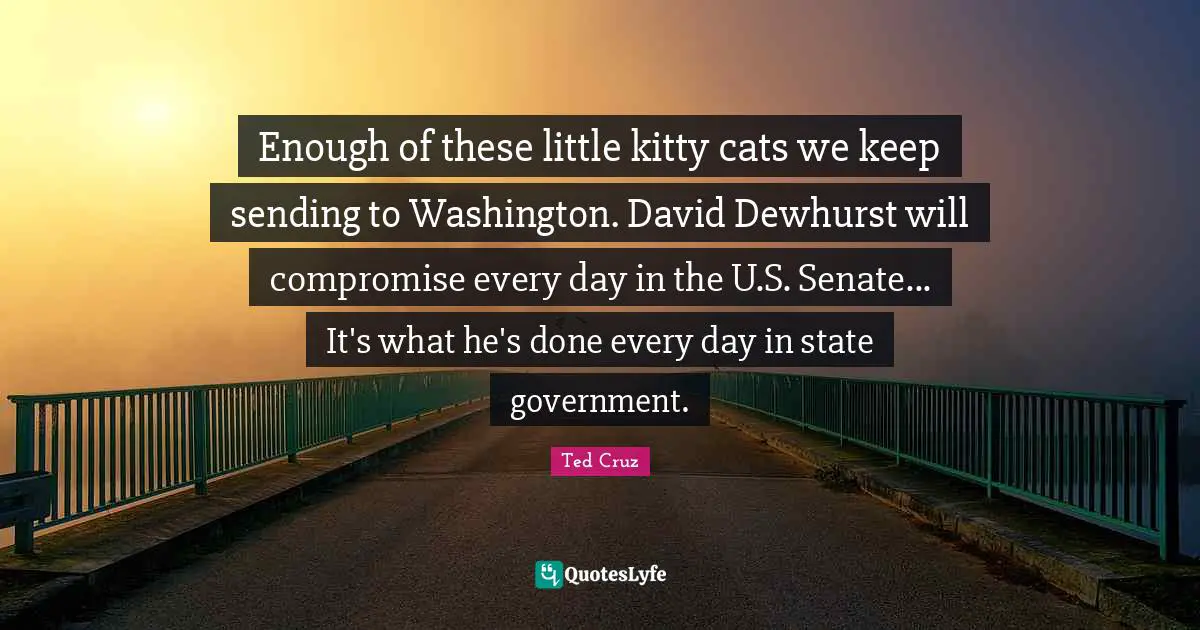 Enough of these little kitty cats we keep sending to Washington. David Dewhurst will compromise every day in the U.S. Senate... It's what he's done every day in state government.