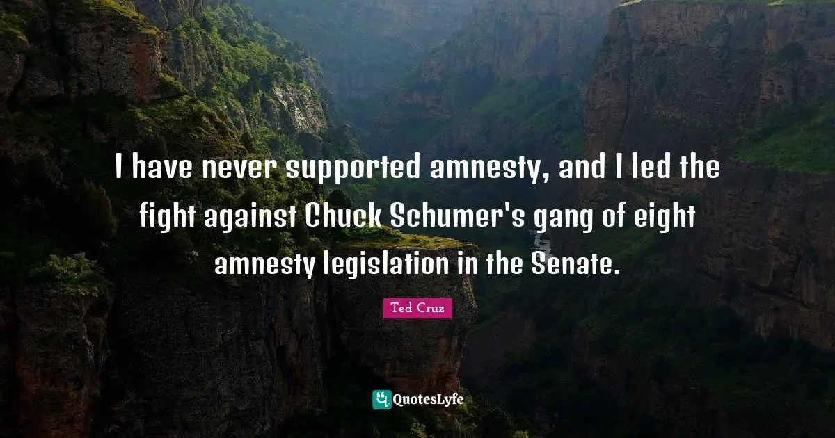 Ted Cruz Quotes: "I have never supported amnesty, and I led the fight against Chuck Schumer's gang of eight amnesty legislation in the Senate."