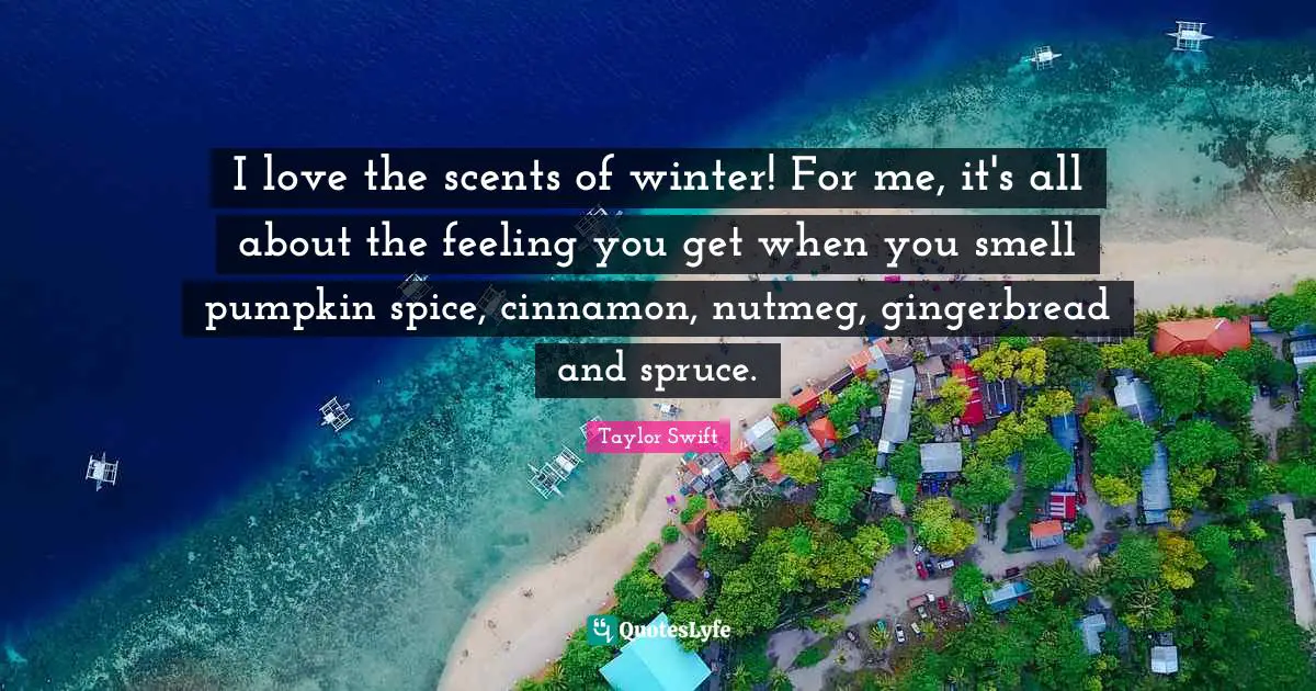 I love the scents of winter! For me, it's all about the feeling you get when you smell pumpkin spice, cinnamon, nutmeg, gingerbread and spruce.