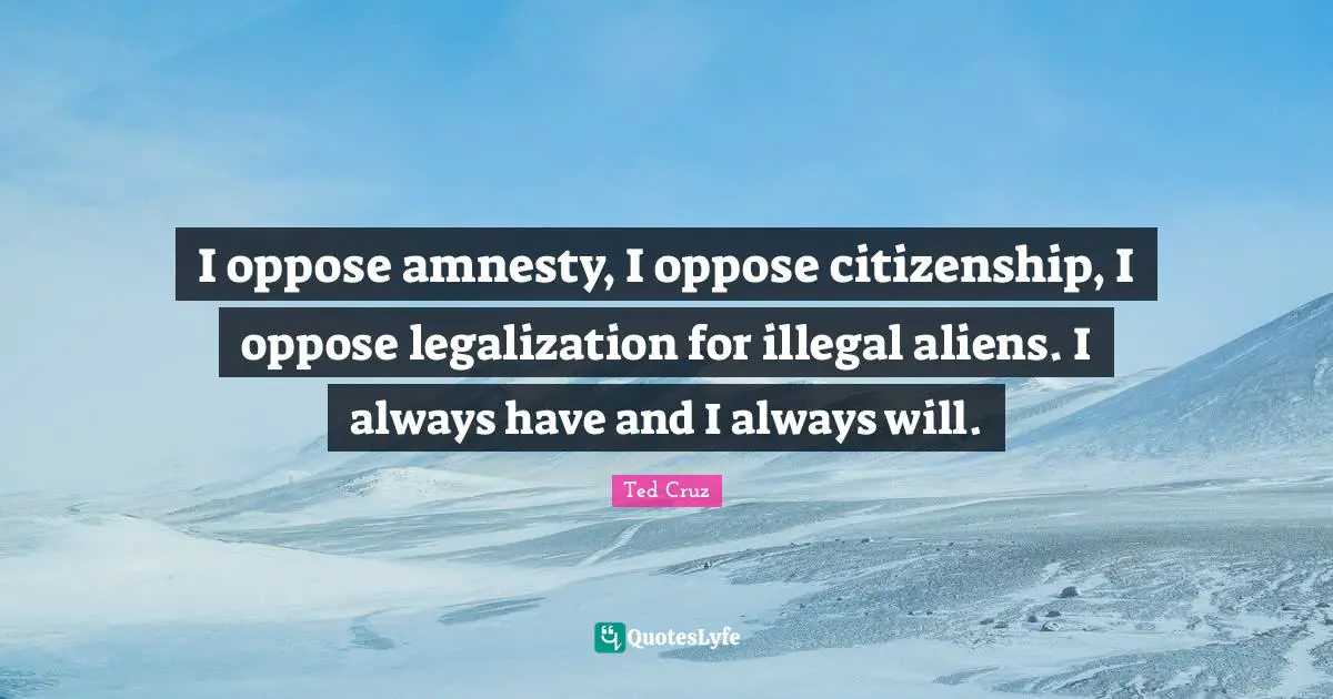 I oppose amnesty, I oppose citizenship, I oppose legalization for illegal aliens. I always have and I always will.