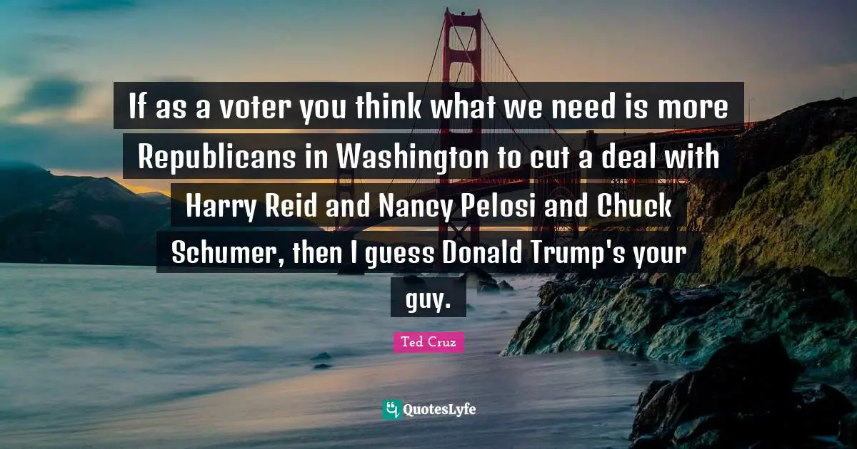 If as a voter you think what we need is more Republicans in Washington to cut a deal with Harry Reid and Nancy Pelosi and Chuck Schumer, then I guess Donald Trump's your guy.