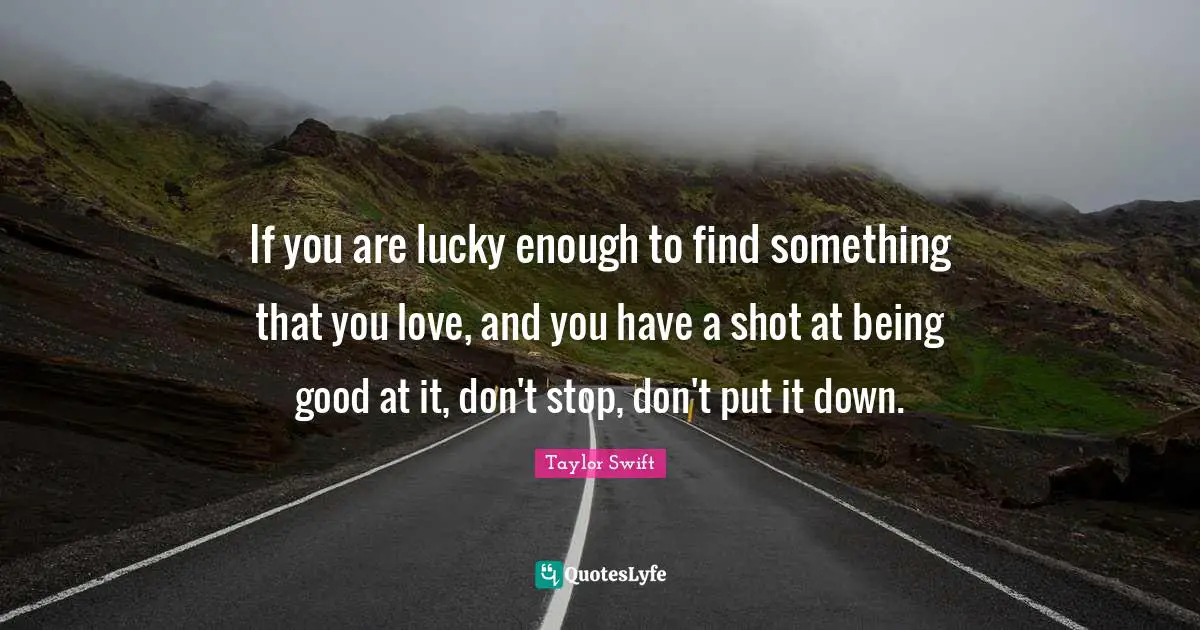 If you are lucky enough to find something that you love, and you have a shot at being good at it, don't stop, don't put it down.