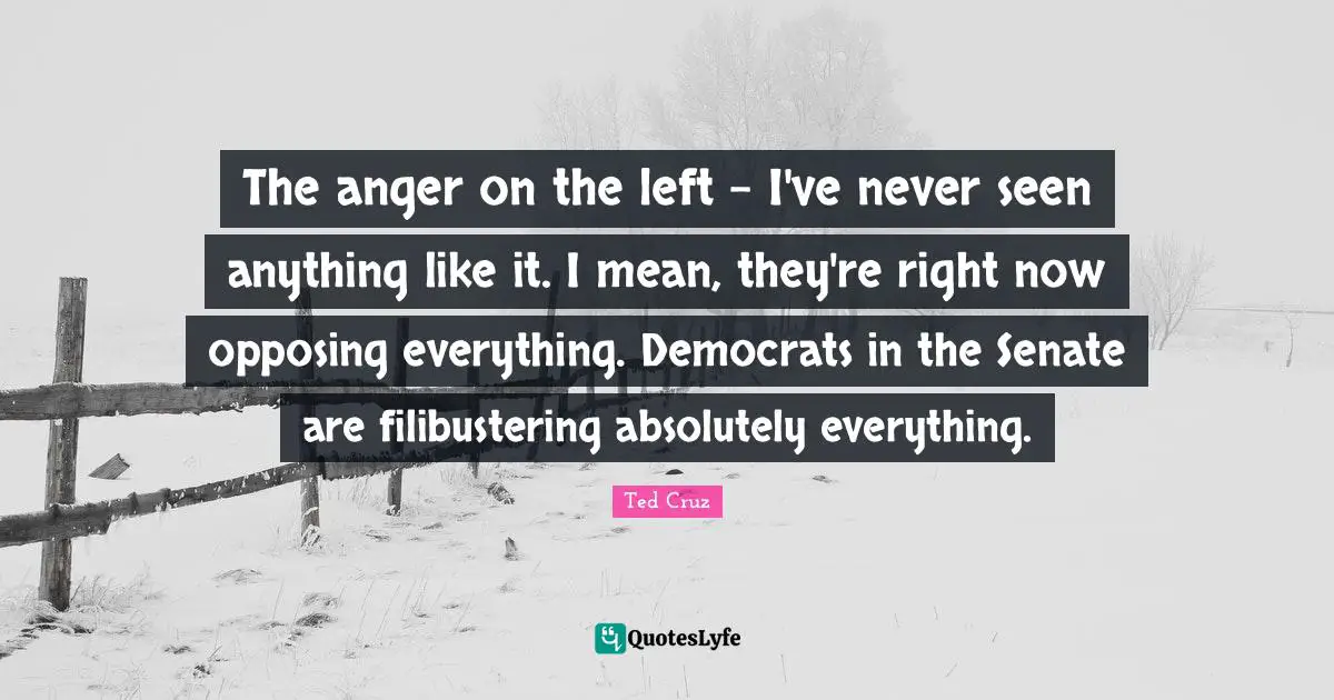 The anger on the left - I've never seen anything like it. I mean, they're right now opposing everything. Democrats in the Senate are filibustering absolutely everything.
