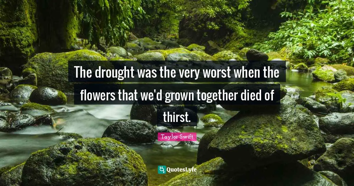 The drought was the very worst when the flowers that we'd grown together died of thirst.
