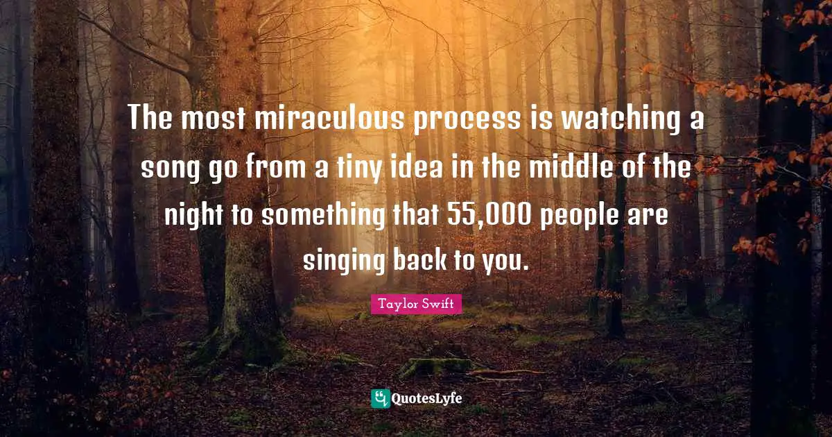 The most miraculous process is watching a song go from a tiny idea in the middle of the night to something that 55,000 people are singing back to you.