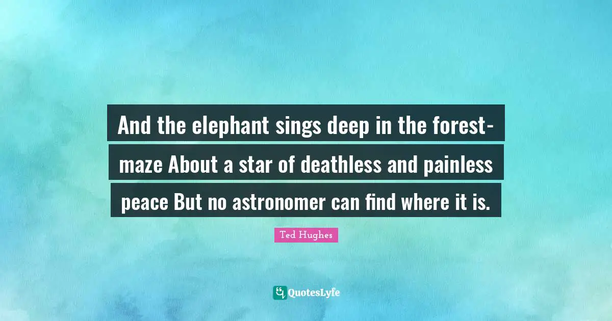 Ted Hughes Quotes: "And the elephant sings deep in the forest-maze About a star of deathless and painless peace But no astronomer can find where it is."