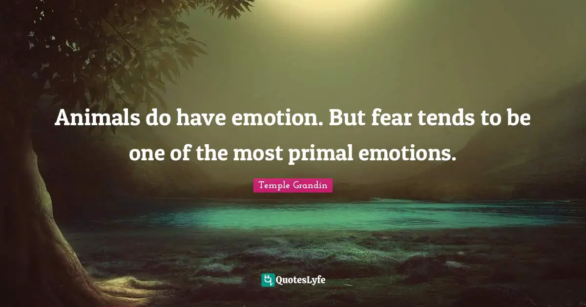 Animals do have emotion. But fear tends to be one of the most primal emotions.