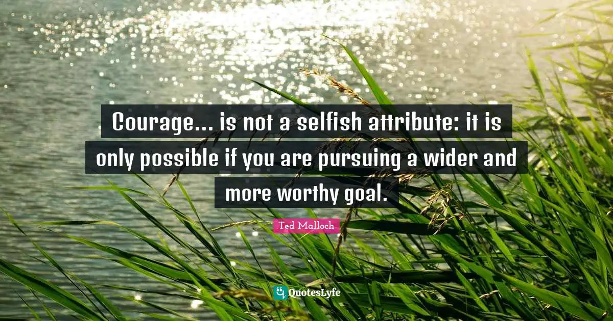 Courage... is not a selfish attribute: it is only possible if you are pursuing a wider and more worthy goal.