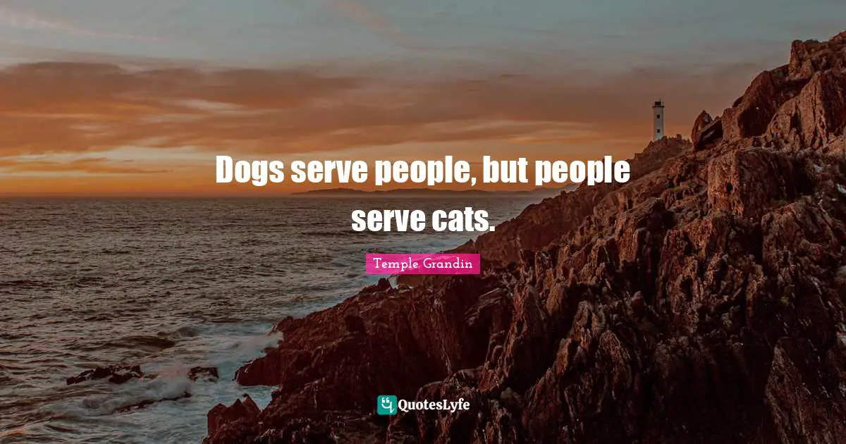 Dogs serve people, but people serve cats.