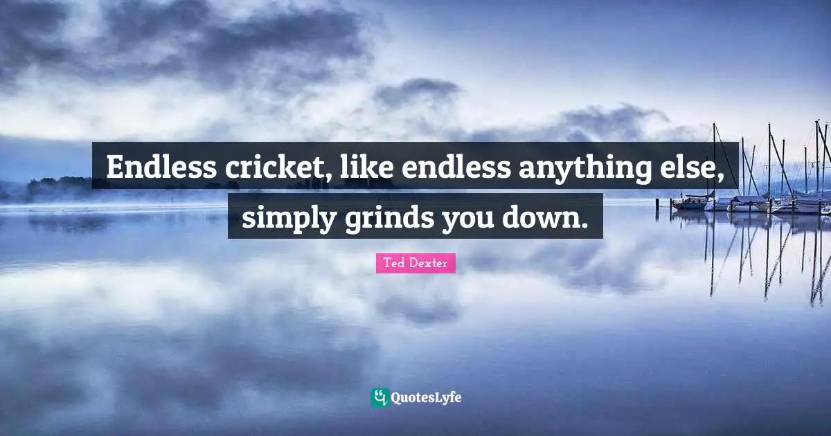 Endless cricket, like endless anything else, simply grinds you down.