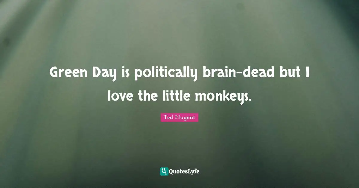 Green Day is politically brain-dead but I love the little monkeys.