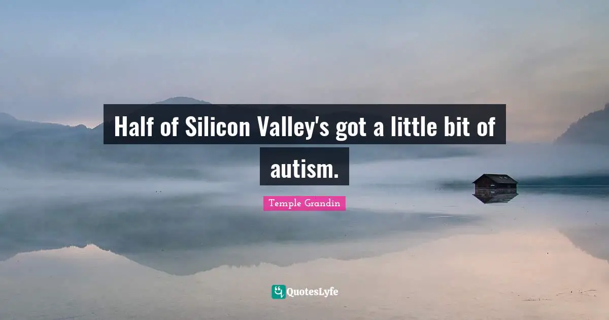 Half of Silicon Valley's got a little bit of autism.