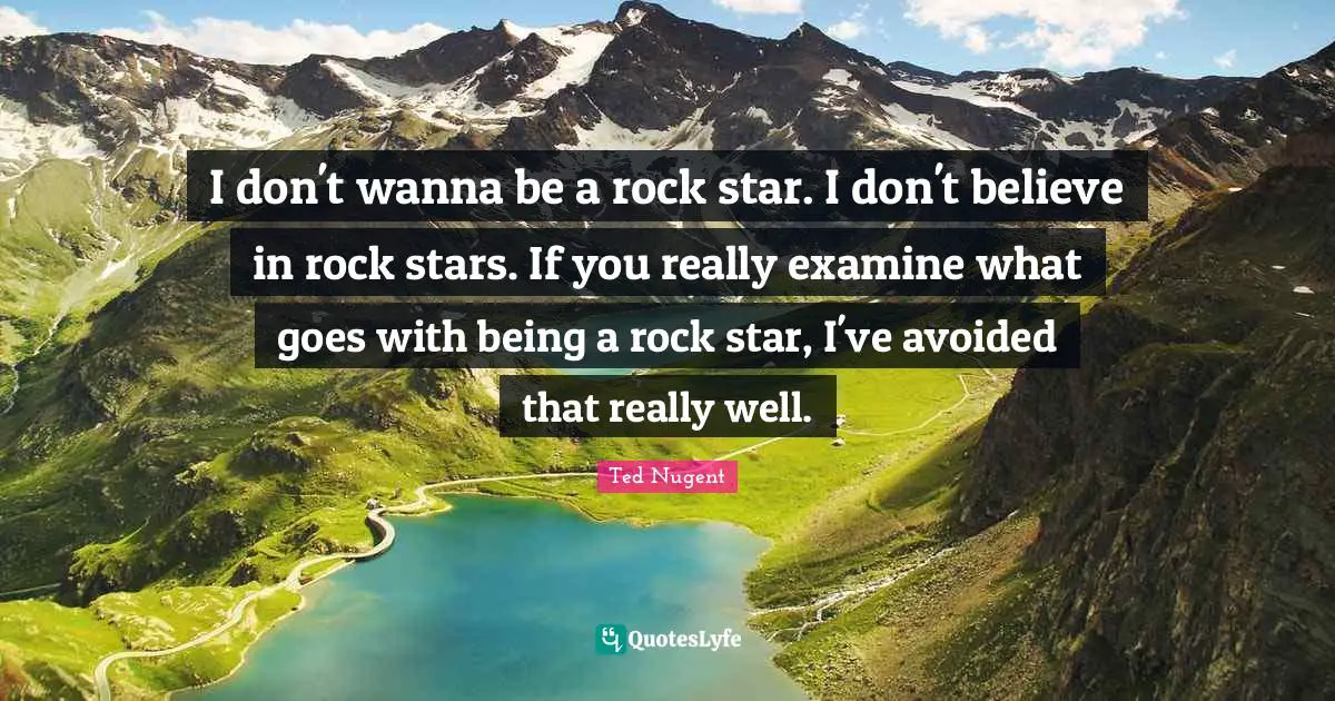 I don't wanna be a rock star. I don't believe in rock stars. If you really examine what goes with being a rock star, I've avoided that really well.