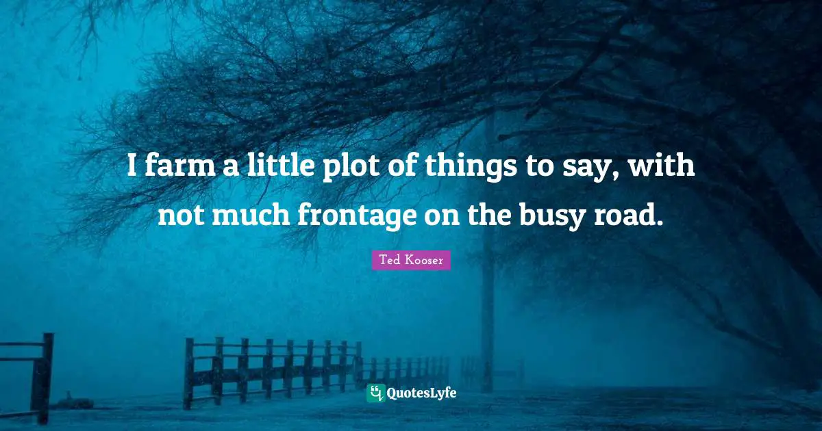 I farm a little plot of things to say, with not much frontage on the busy road.
