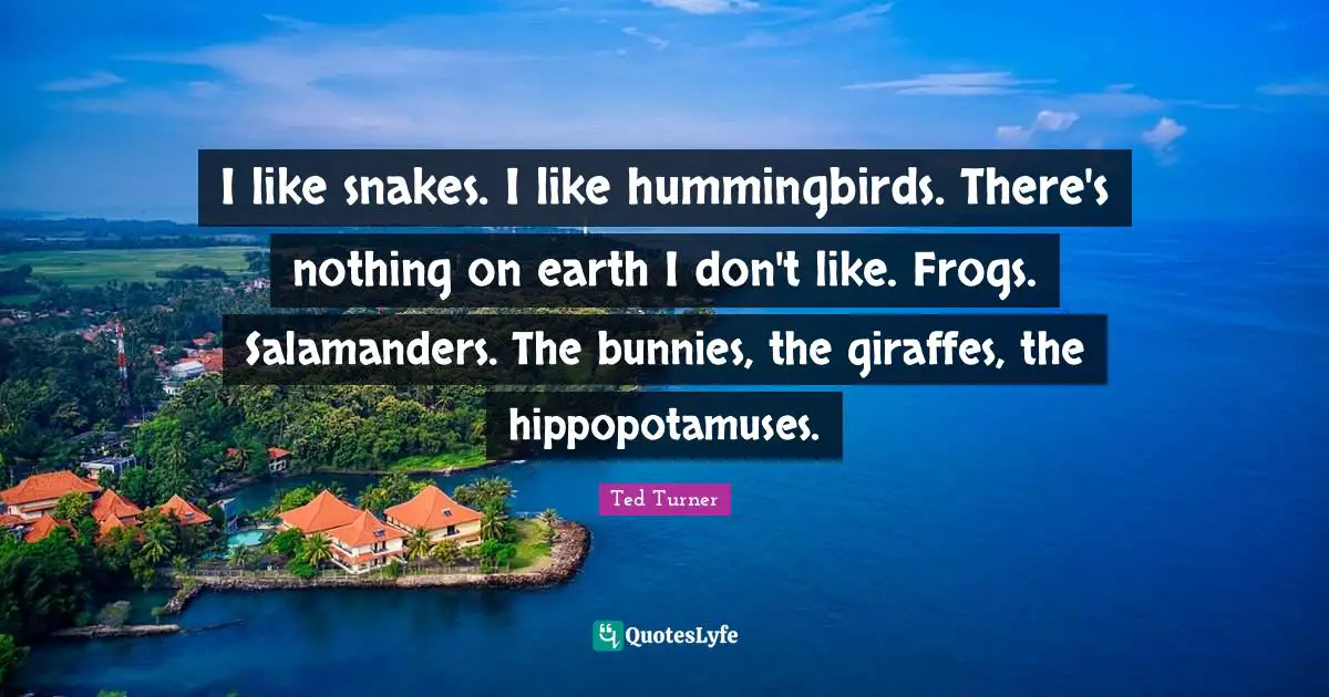 Snakes Quotes: "I like snakes. I like hummingbirds. There's nothing on earth I don't like. Frogs. Salamanders. The bunnies, the giraffes, the hippopotamuses."
