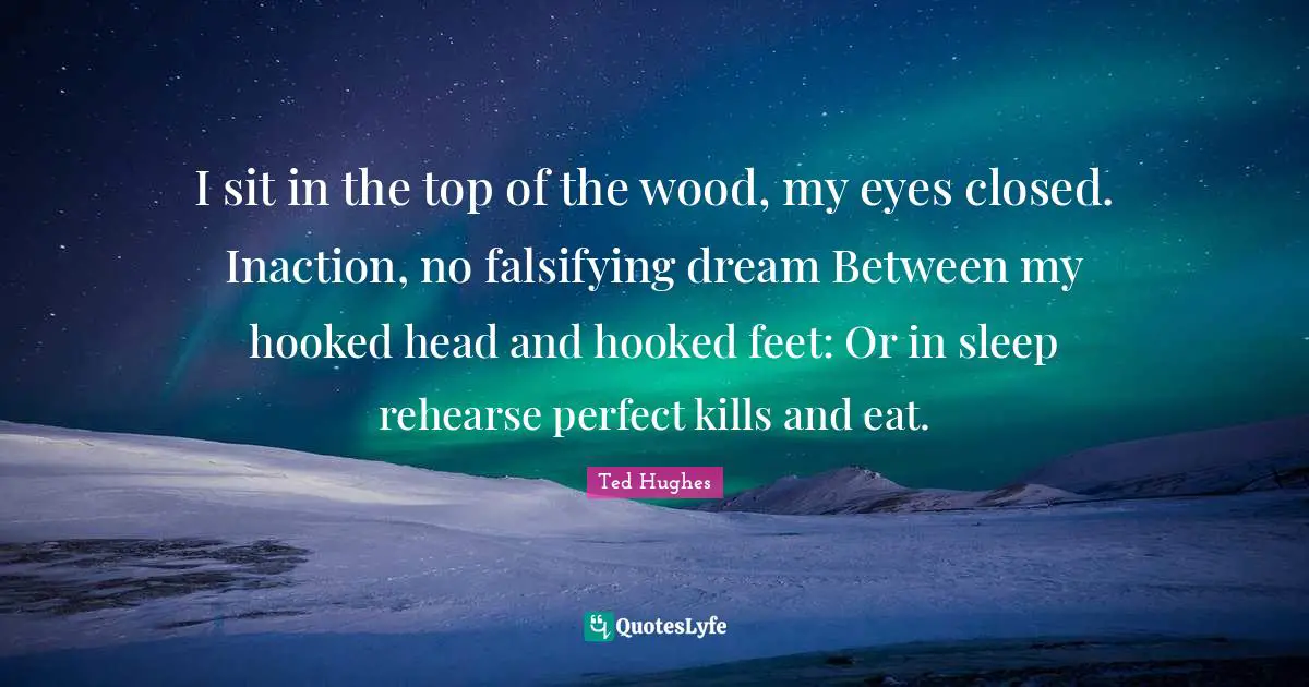 Ted Hughes Quotes: "I sit in the top of the wood, my eyes closed. Inaction, no falsifying dream Between my hooked head and hooked feet: Or in sleep rehearse perfect kills and eat."
