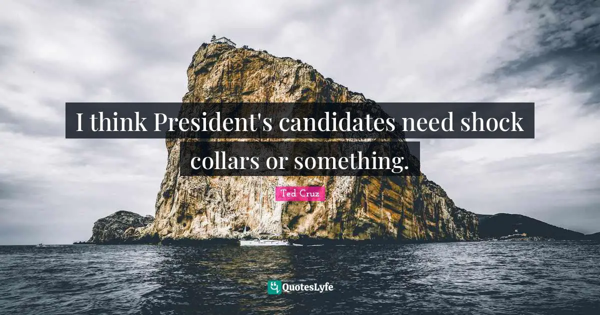 I think President's candidates need shock collars or something.