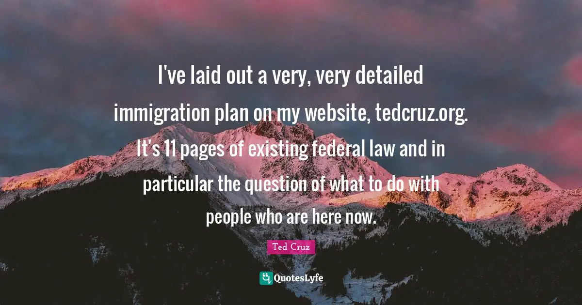 I've laid out a very, very detailed immigration plan on my website, tedcruz.org. It's 11 pages of existing federal law and in particular the question of what to do with people who are here now.