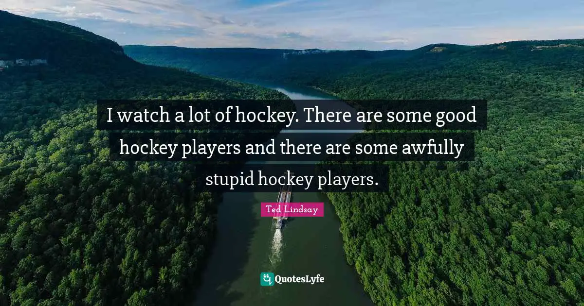 I watch a lot of hockey. There are some good hockey players and there are some awfully stupid hockey players.
