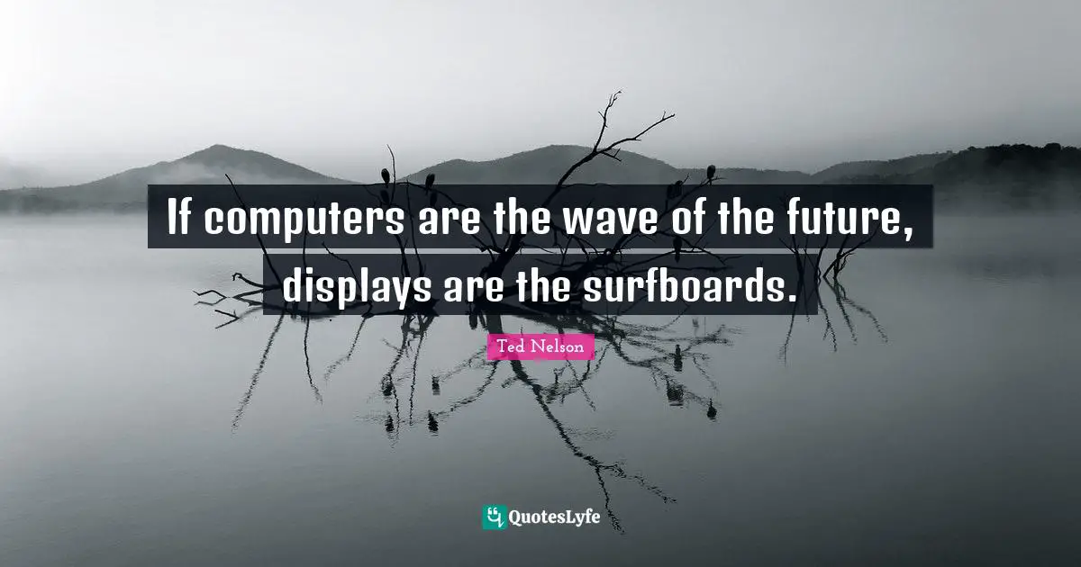 If computers are the wave of the future, displays are the surfboards.