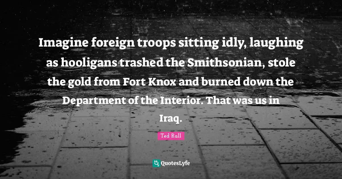 Imagine foreign troops sitting idly, laughing as hooligans trashed the Smithsonian, stole the gold from Fort Knox and burned down the Department of the Interior. That was us in Iraq.