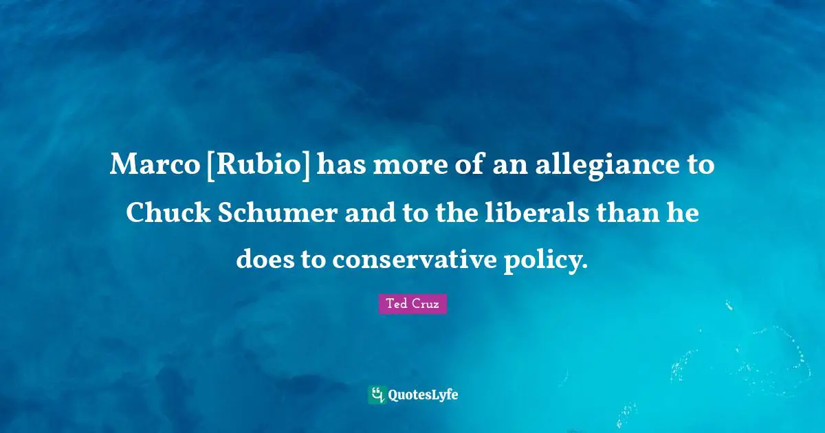 Marco [Rubio] has more of an allegiance to Chuck Schumer and to the liberals than he does to conservative policy.