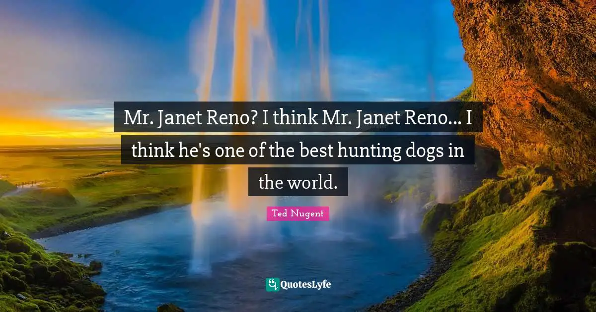Mr. Janet Reno? I think Mr. Janet Reno... I think he's one of the best hunting dogs in the world.