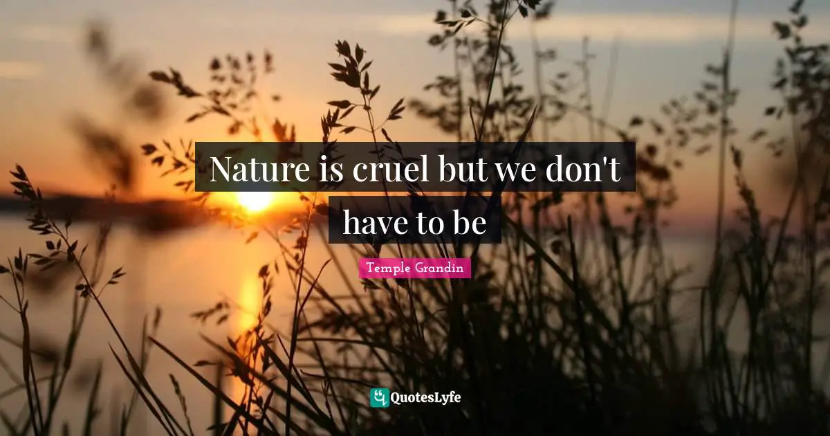 Nature is cruel but we don't have to be