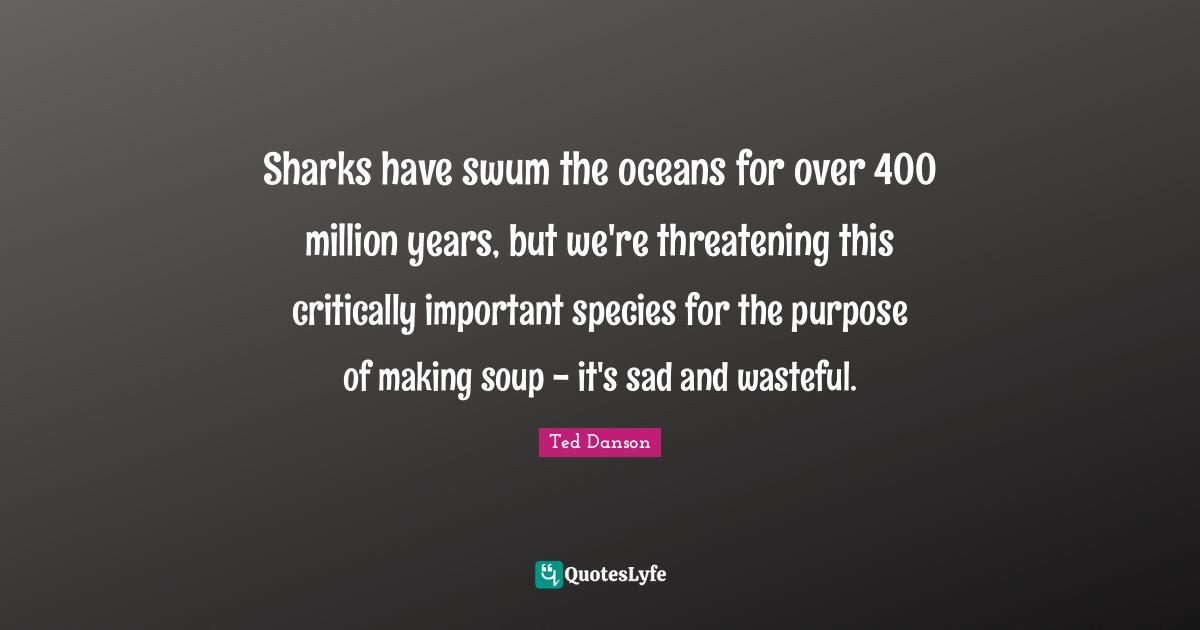 Sharks have swum the oceans for over 400 million years, but we're threatening this critically important species for the purpose of making soup - it's sad and wasteful.