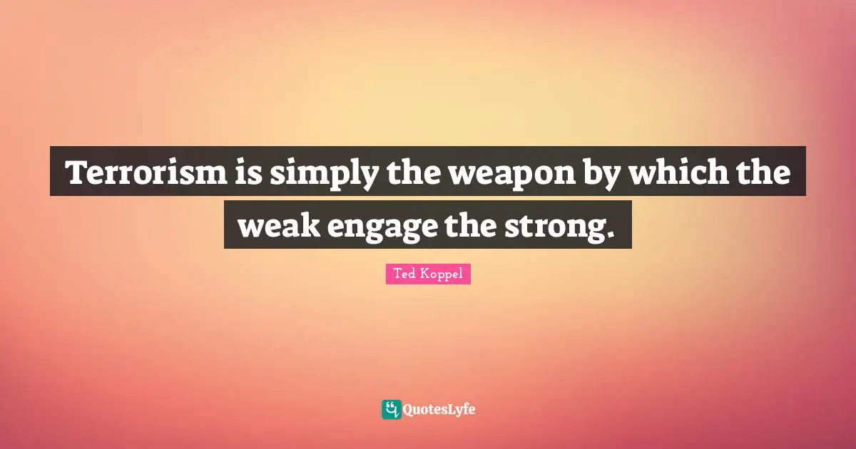 Terrorism is simply the weapon by which the weak engage the strong.