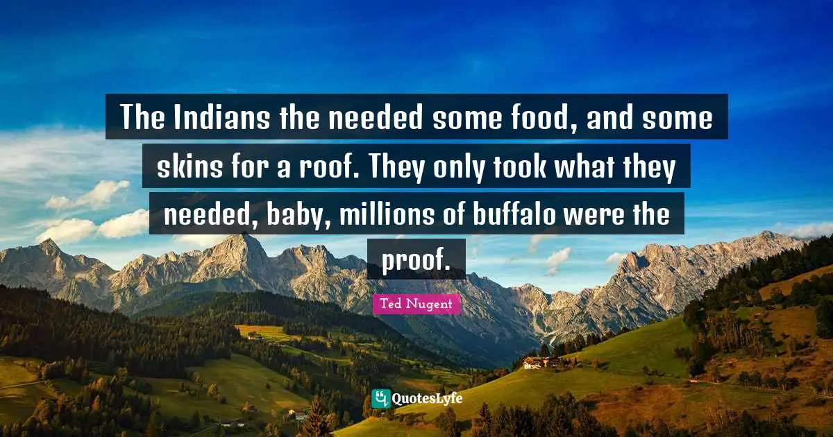 The Indians the needed some food, and some skins for a roof. They only took what they needed, baby, millions of buffalo were the proof.